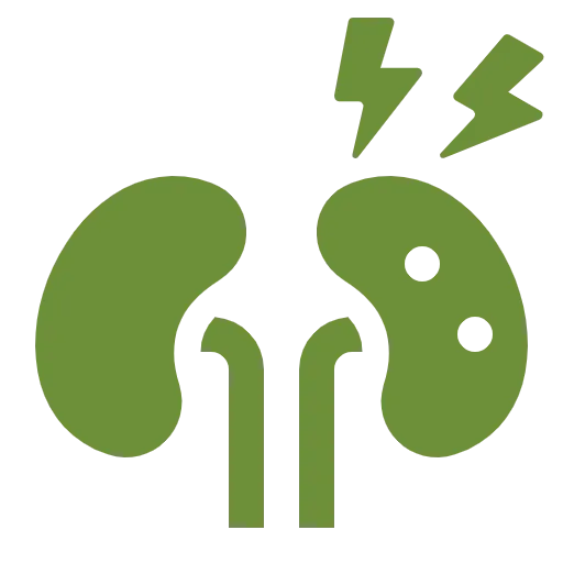 At Utpala Ayurdhama, we offer specialized Ayurvedic treatments for various kidney disorders, including Chronic kidney disease (CKD), Kidney stones (Renal calculi), Polycystic kidney disease (PKD), Glomerulonephritis, Nephrotic syndrome, Urinary tract infections (UTIs), Acute kidney injury (AKI), Renal artery stenosis, Bartter syndrome, Fanconi syndrome, and more. Our therapies focus on promoting kidney health and improving overall urinary system function naturally.